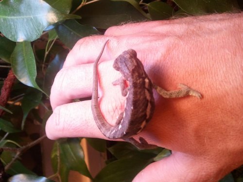 2010-12-05 14.22.38.jpg