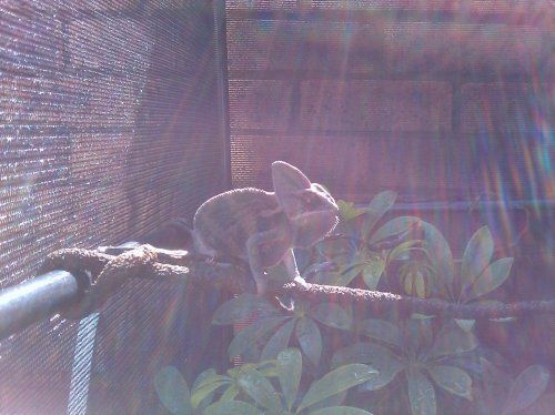 IMAG_0052.jpg