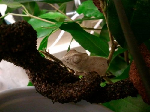 2010-12-07 00.48.13.jpg