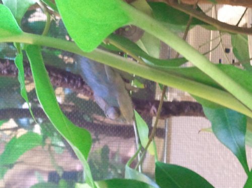 2010-12-08 23.10.36.jpg