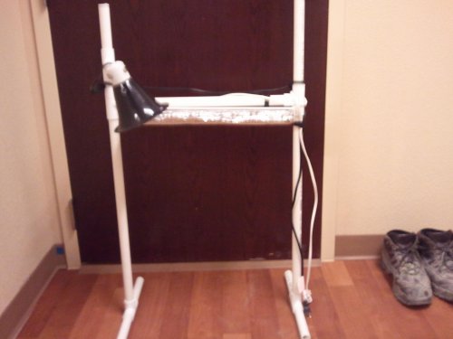 2010-12-11 21.21.26.jpg
