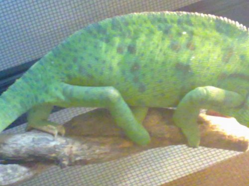 20101215693.jpg