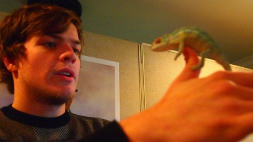 CHAMELEON AND ME.jpg