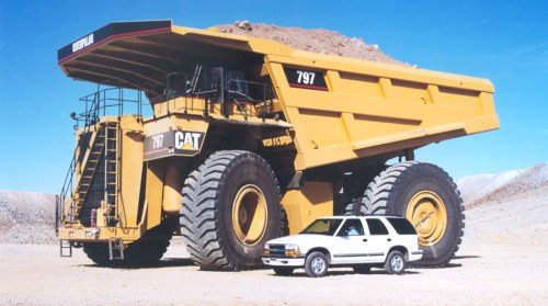 cat797b.jpg