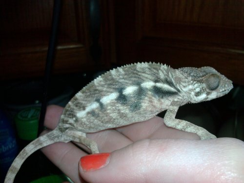 2011-01-08 10.54.50.jpg