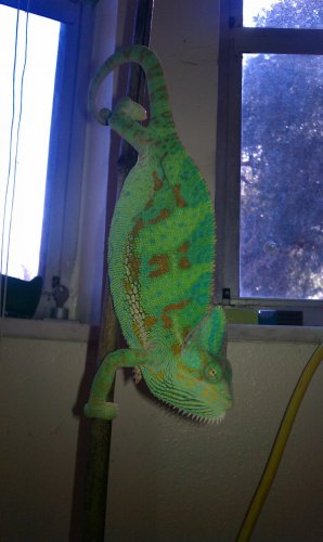IMAG0391.jpg