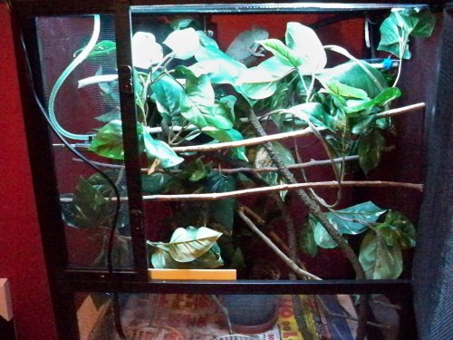 Camilla_jan2011 008.jpg