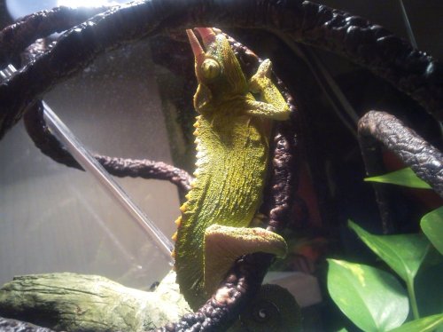 2011-01-11 21.27.20.jpg