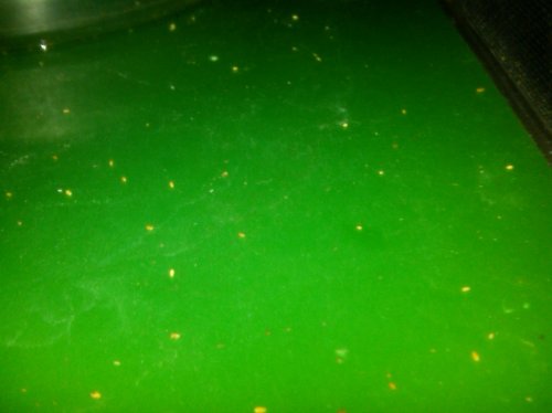 IMG02192-20110113-0104.jpg