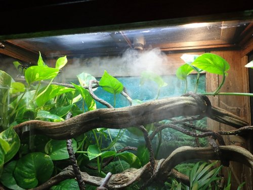 "Truth is the torch that gleams through the fog without dispelling it."