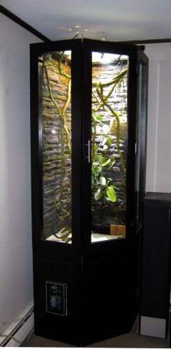 Chameleon Enclosure Nov 2017.jpg