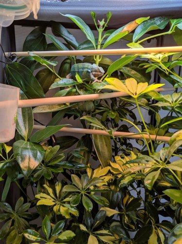 62062183_607503816417833_301479057474715648_n (1).jpg