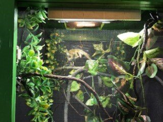 carls cage top half.jpg