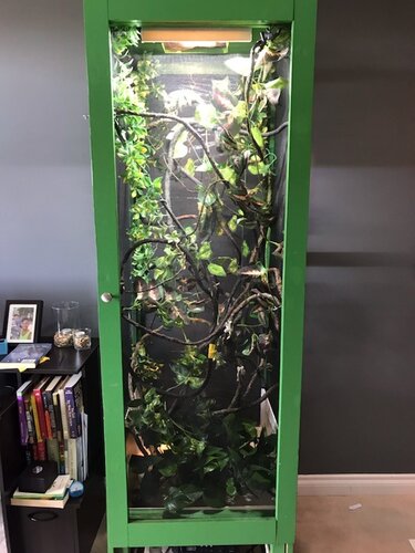 carls full cage with new light.jpg