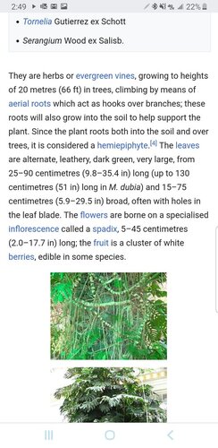 Screenshot_20190703-144937_Chrome.jpg