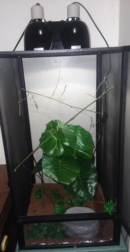 20190703_220548.jpg