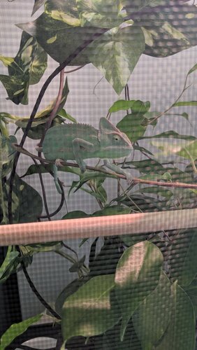 IMG_20190709_160232.jpg