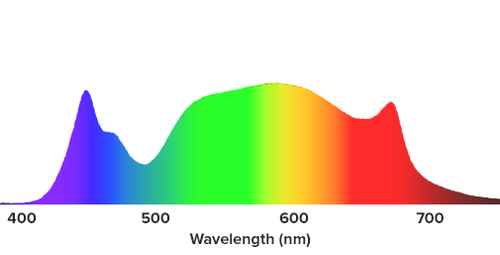 spectrum_primeFW (1).png