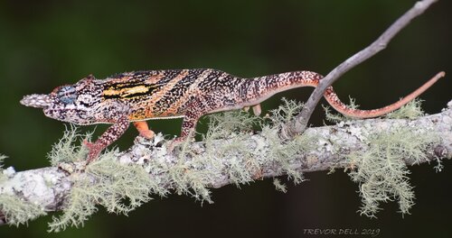 DSC_0451-NAME.jpg DSC_0451-NAME.jpg