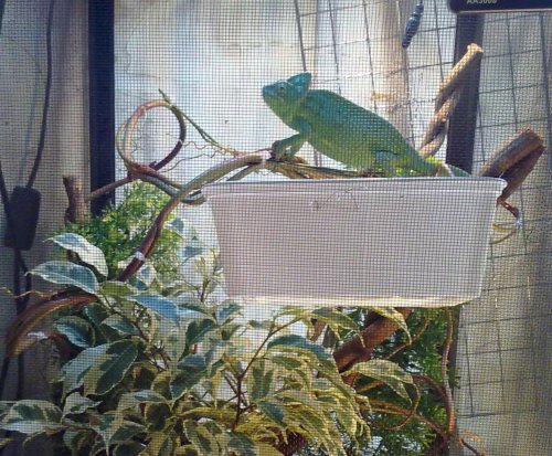 20110123823.jpg