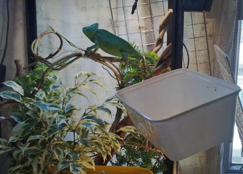 20110123824.jpg