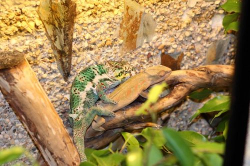 IMG_9749.jpg
