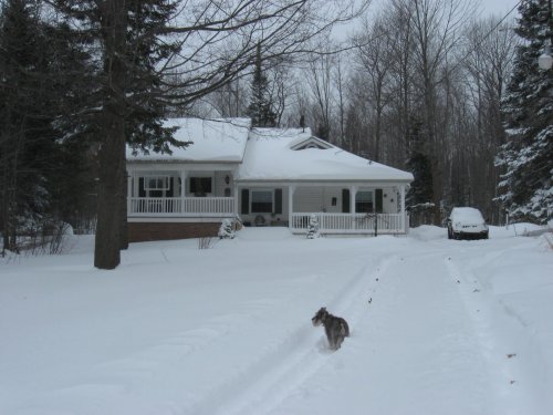 january 2011--snow pics 018.jpg