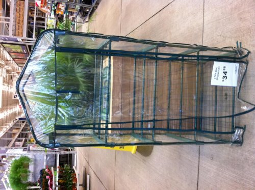 iphone feb 16 2011 043.jpg