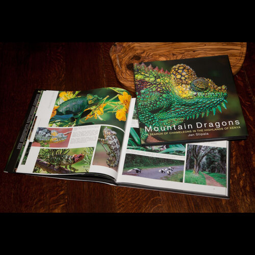 Mountain Dragons book.jpg