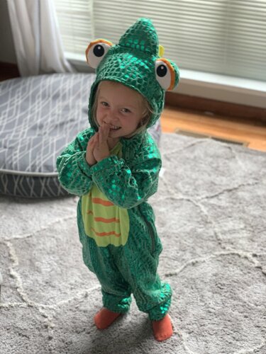 New to Chameleons or Want one? A Story.