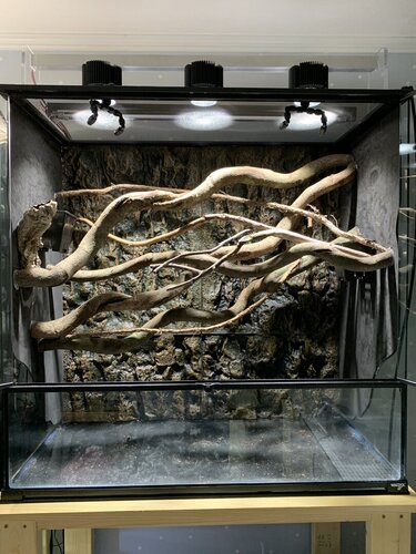 New Panther Enclosure | Chameleon Forums
