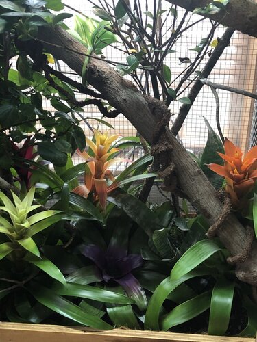 0148041F-7150-4E43-A3CE-31382EC55CC9.jpeg