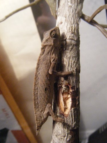 DSCF9646.JPG