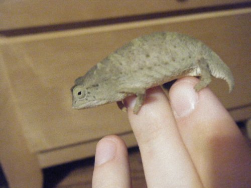 DSCF9659.JPG