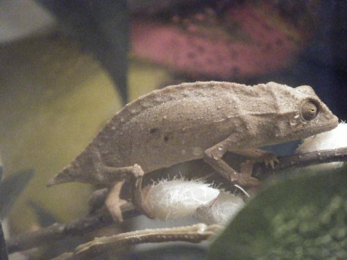 DSCF9663.JPG
