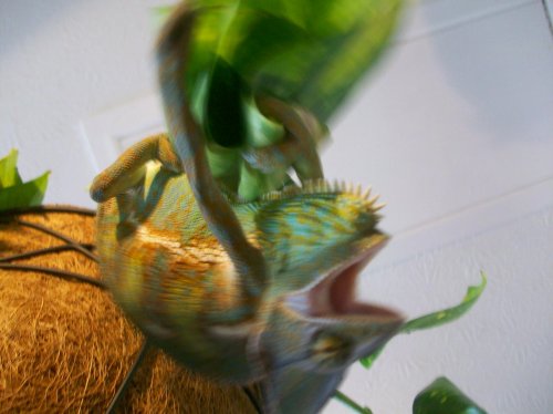 100_3049.jpg