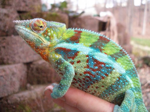 P2260154 [1600x1200].jpg