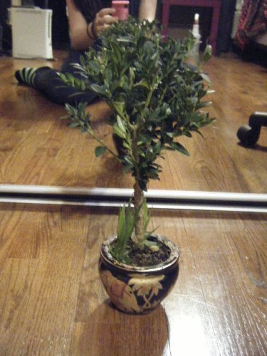 DSCF9670.JPG