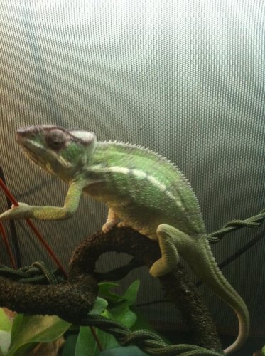 Zaphod 2nd day 13.jpg