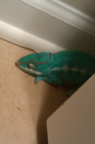 Sulley washing machine.jpg