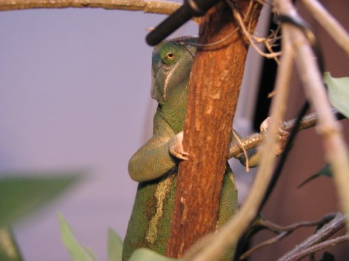 Is she gone yet?.JPG