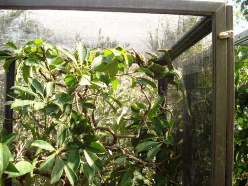 my belly needs sun Jackson.jpg