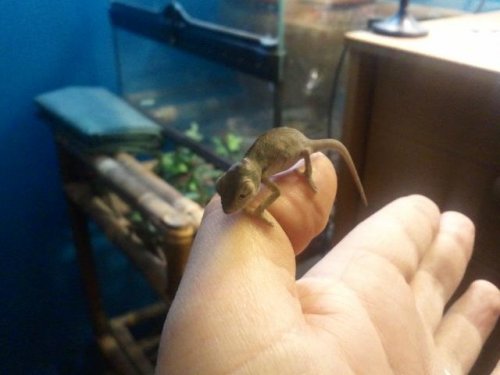 2011-02-22 20.39.58.jpg