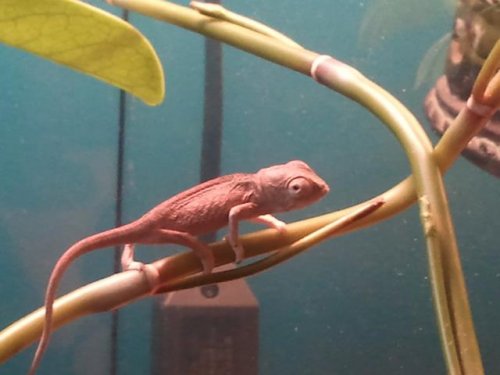 2011-02-22 20.47.27.jpg