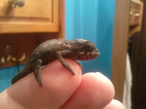 2011-02-24 17.40.08.jpg