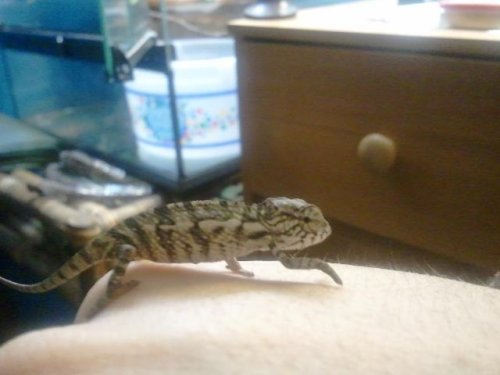 2011-03-01 19.33.42.jpg