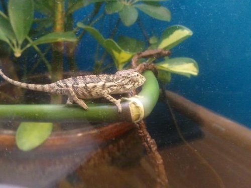 2011-03-01 19.37.06.jpg