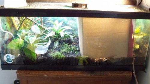 Imported Photos 00007.jpg