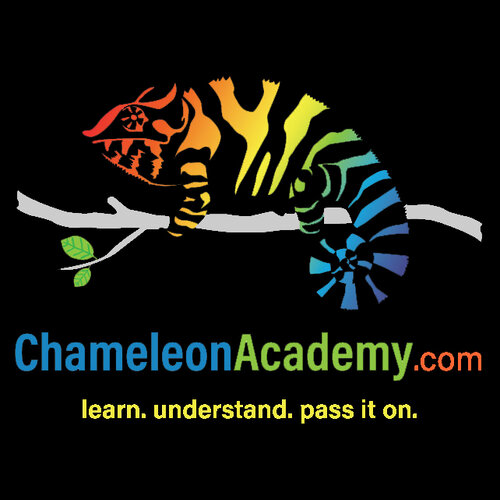 ChameleonAcademyLogo Black Yellow.jpg ChameleonAcademyLogo Black Yellow.jpg