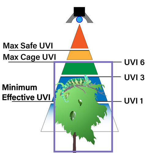 UVB Zones with cage rev B.jpg